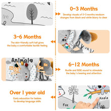 Load image into Gallery viewer, 3D Touch Sensory Early Learning Toys